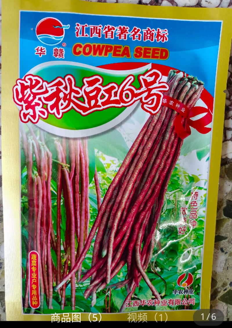 紫秋六号高产优质种子