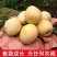 奈李苗黄金奈李苗桃形李苗自产自销现挖现苗更新鲜