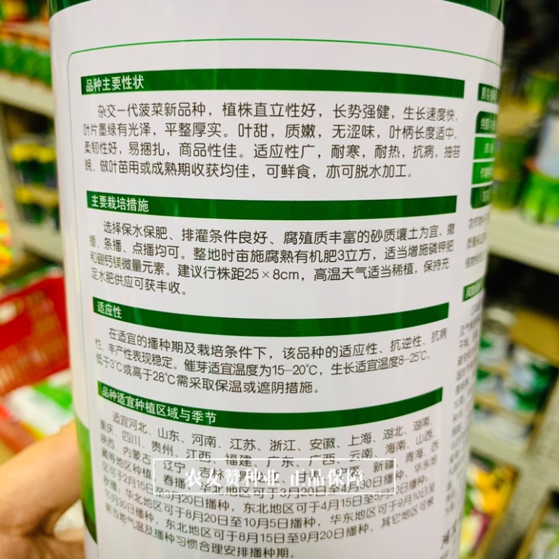 卡其墨菲一代杂交菠菜种子叶片墨绿无涩味耐寒耐热菠菜种子