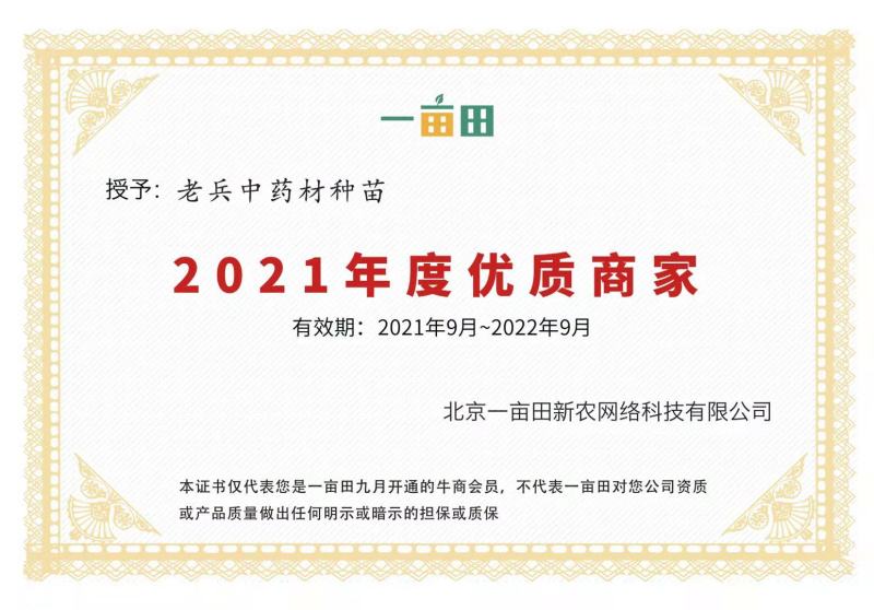 玉竹种苗湘玉竹高产质优退伍老兵用军人理念诚信经营欢迎合作