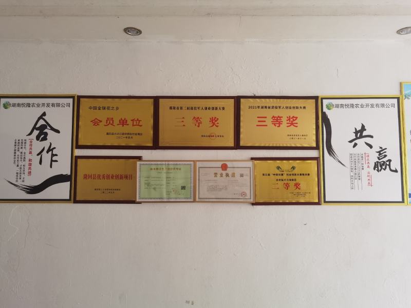 玉竹种苗湘玉竹高产质优退伍老兵用军人理念诚信经营欢迎合作