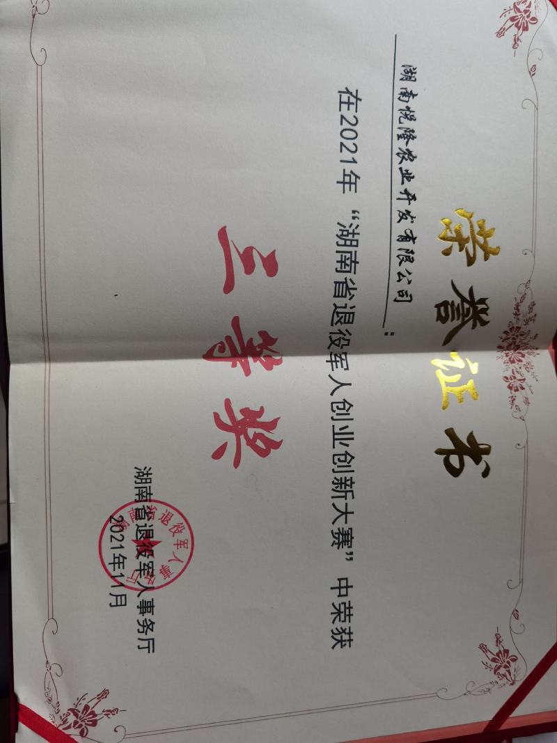 玉竹种苗湘玉竹高产质优退伍老兵用军人理念诚信经营欢迎合作
