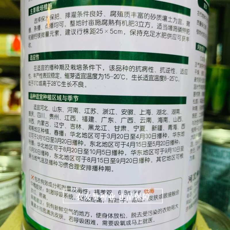 卡其优速杂交一代菠菜种子柔韧性好易捆扎，叶甜质嫩