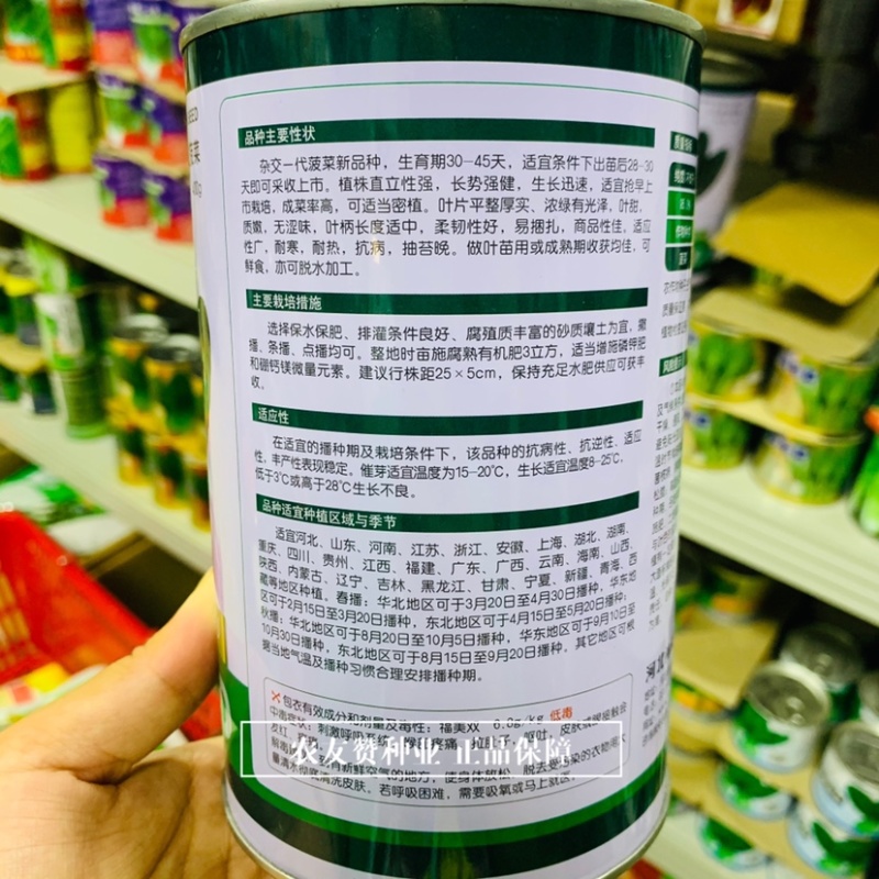 卡其优速杂交一代菠菜种子柔韧性好易捆扎，叶甜质嫩