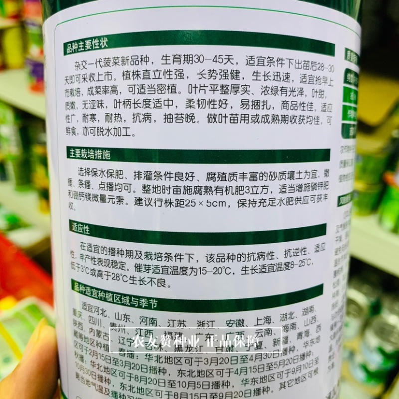 卡其优速杂交一代菠菜种子柔韧性好易捆扎，叶甜质嫩