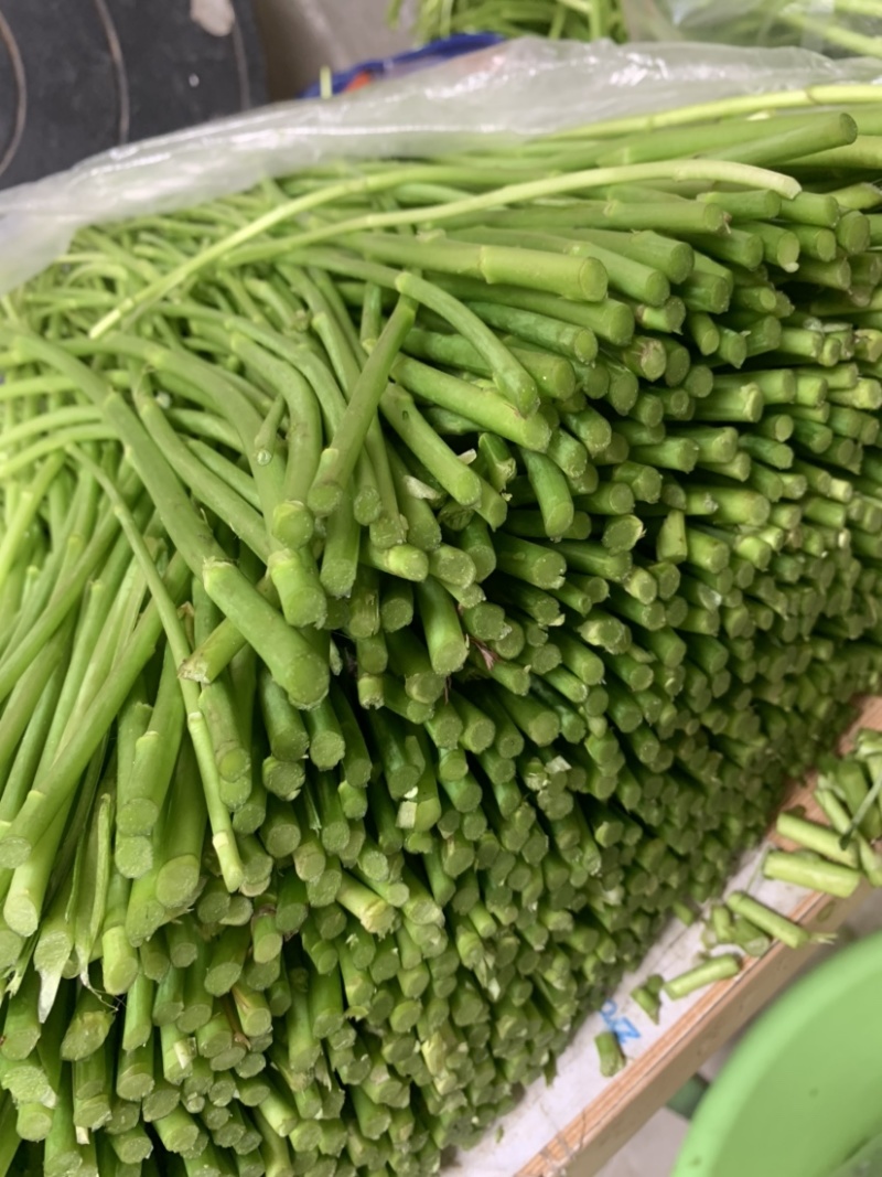 正宗青芦蒿品种，万亩青蒿基地，批发零售都可以。