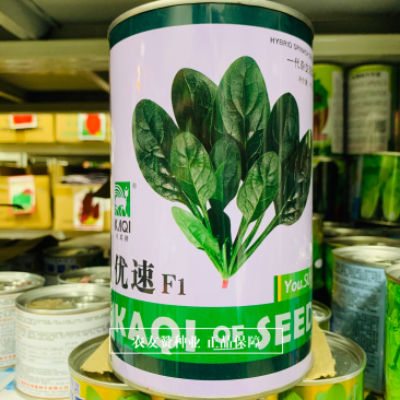 卡其优速杂交一代菠菜种子柔韧性好易捆扎，叶甜质嫩