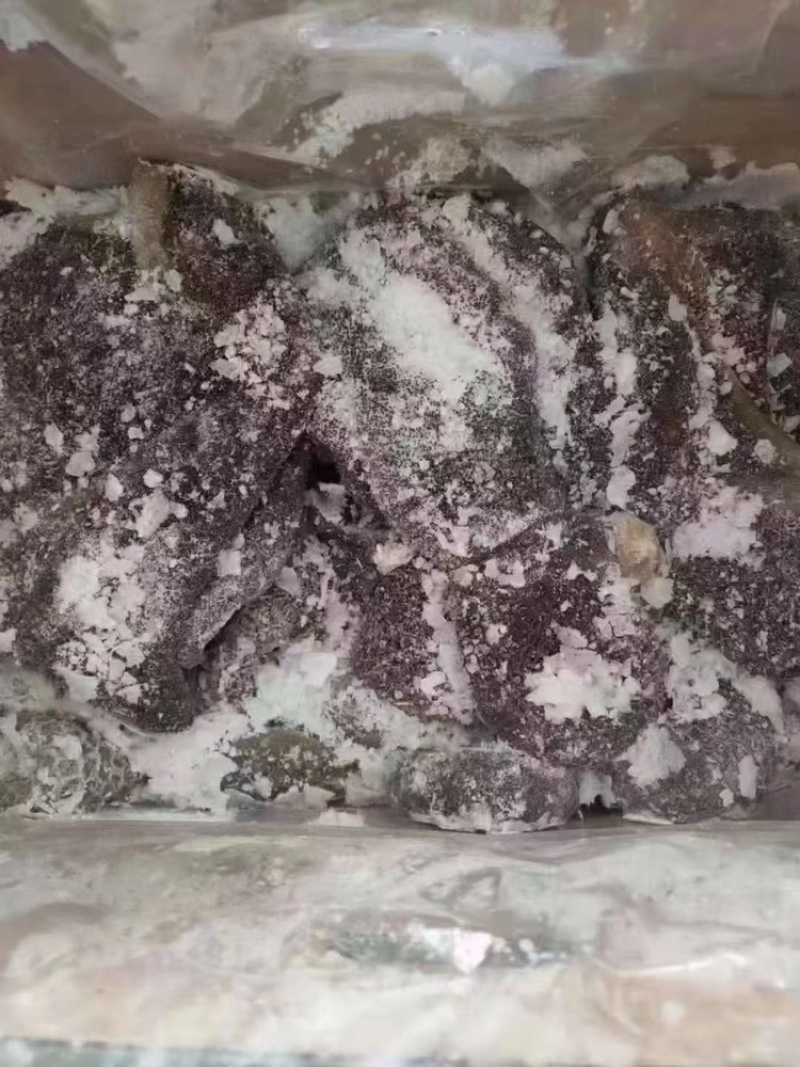 全熟羊毛肚，11一斤，常年加工生产，质量保证