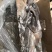 全熟羊毛肚，11一斤，常年加工生产，质量保证