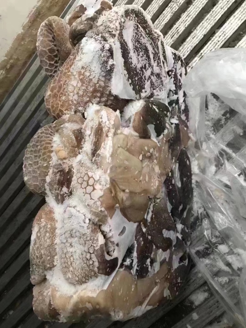 全熟羊毛肚，11一斤，常年加工生产，质量保证