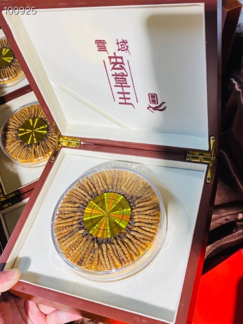 新鲜生晒冬虫夏草西藏青海虫草100条足干饱满