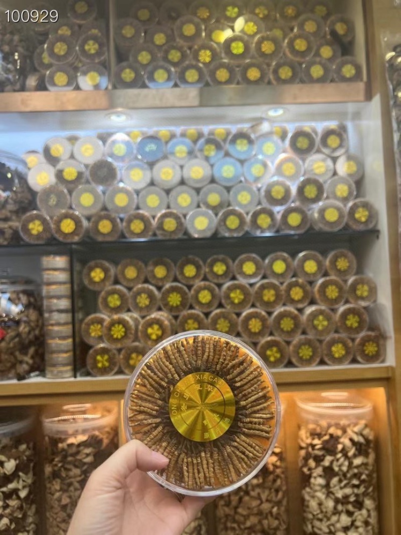 新鲜生晒冬虫夏草西藏青海虫草100条足干饱满