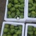 威海青皮无花果市场果4块上车，地头收货，可以发全8分熟
