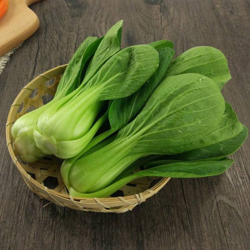 德高华尔兹428耐寒吃抽苔青梗菜种子春秋季冬季绿柄小青菜