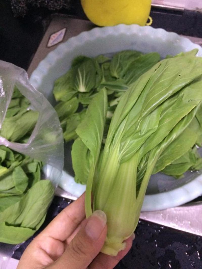 德高华尔兹428耐寒吃抽苔青梗菜种子春秋季冬季绿柄小青菜