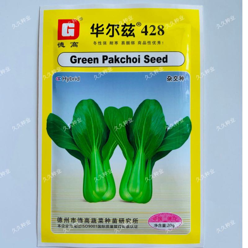 德高华尔兹428耐寒吃抽苔青梗菜种子春秋季冬季绿柄小青菜