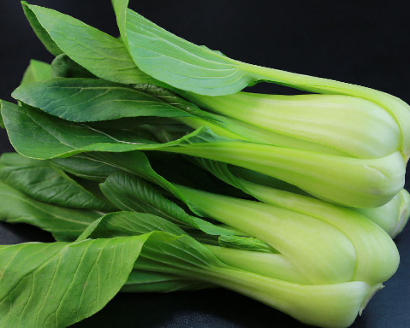 德高华尔兹圆宝青梗菜种子优质丰产耐高温油亮青菜籽耐热蔬菜