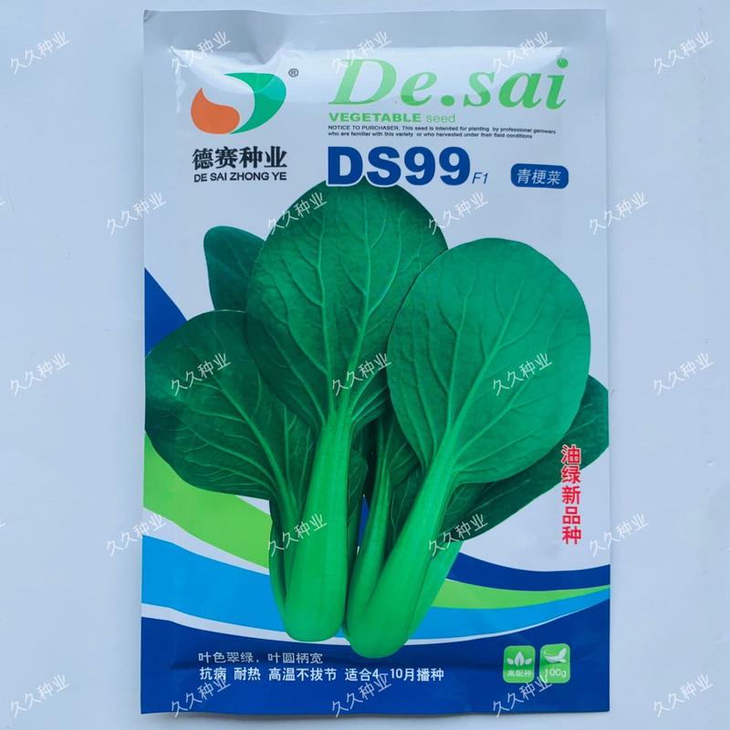 德赛DS99青梗菜青菜籽高产耐热耐雨水夏季上海青油绿青菜