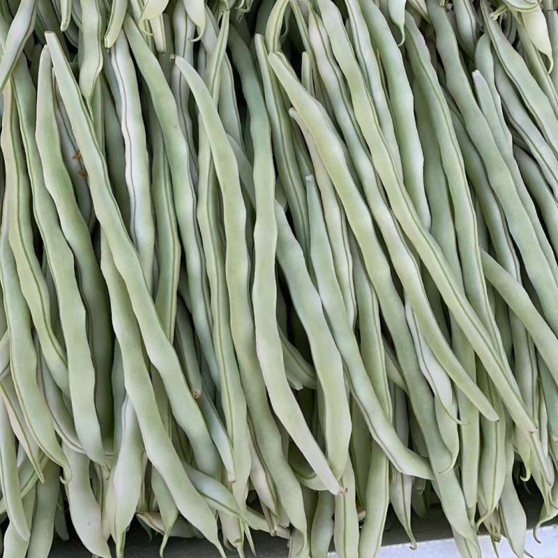 精品豆角