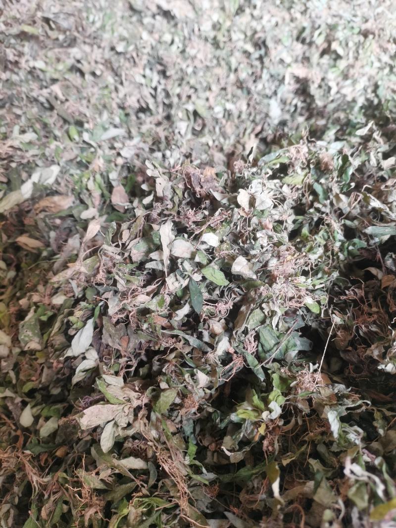 白花地胆头，白背草，白背仔干鲜货都有，质量保证顺丰包邮