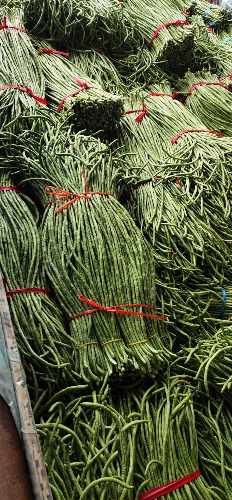 精品】豇豆大量上市产地直供，一手货源，一件代发