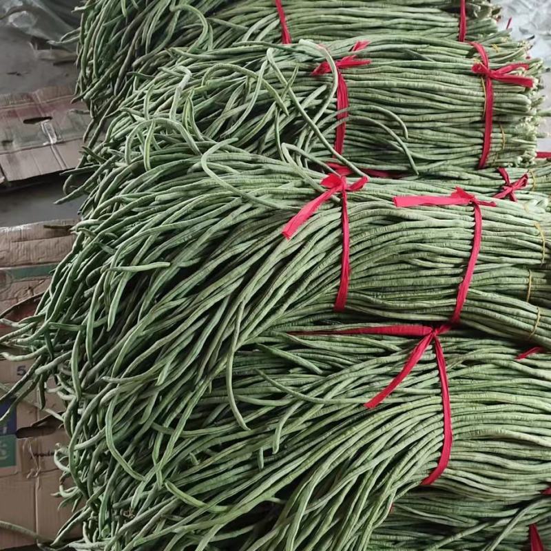 精品】豇豆大量上市产地直供，一手货源，一件代发