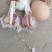 正宗红根蒜苗，川蒜种子，四季蒜苗种子，