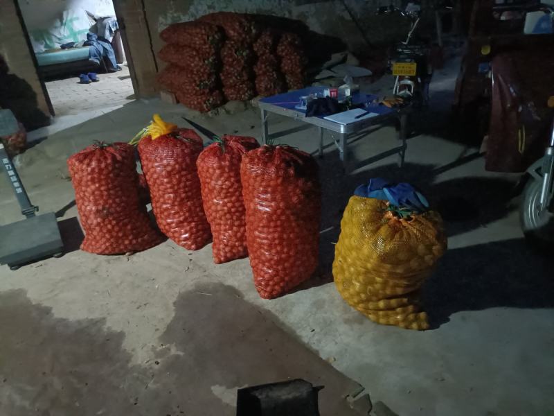 少量清香核桃