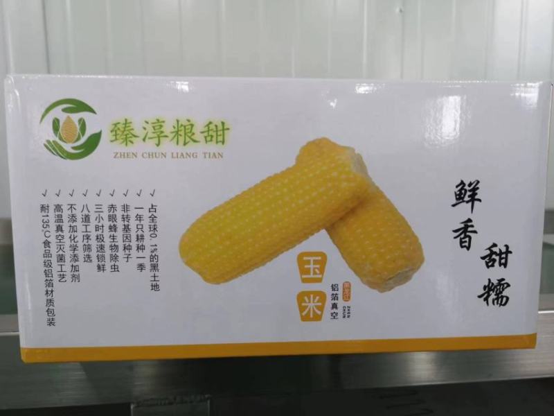 一件代发臻淳粮甜粘玉米包邮