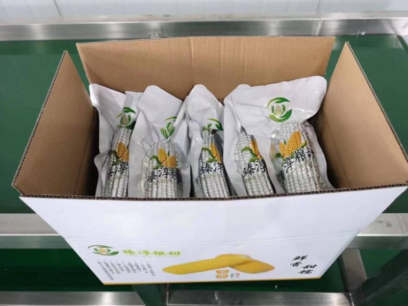 一件代发臻淳粮甜粘玉米包邮