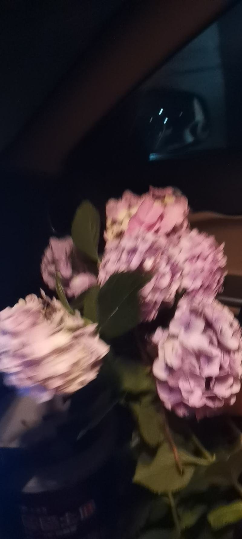 山货