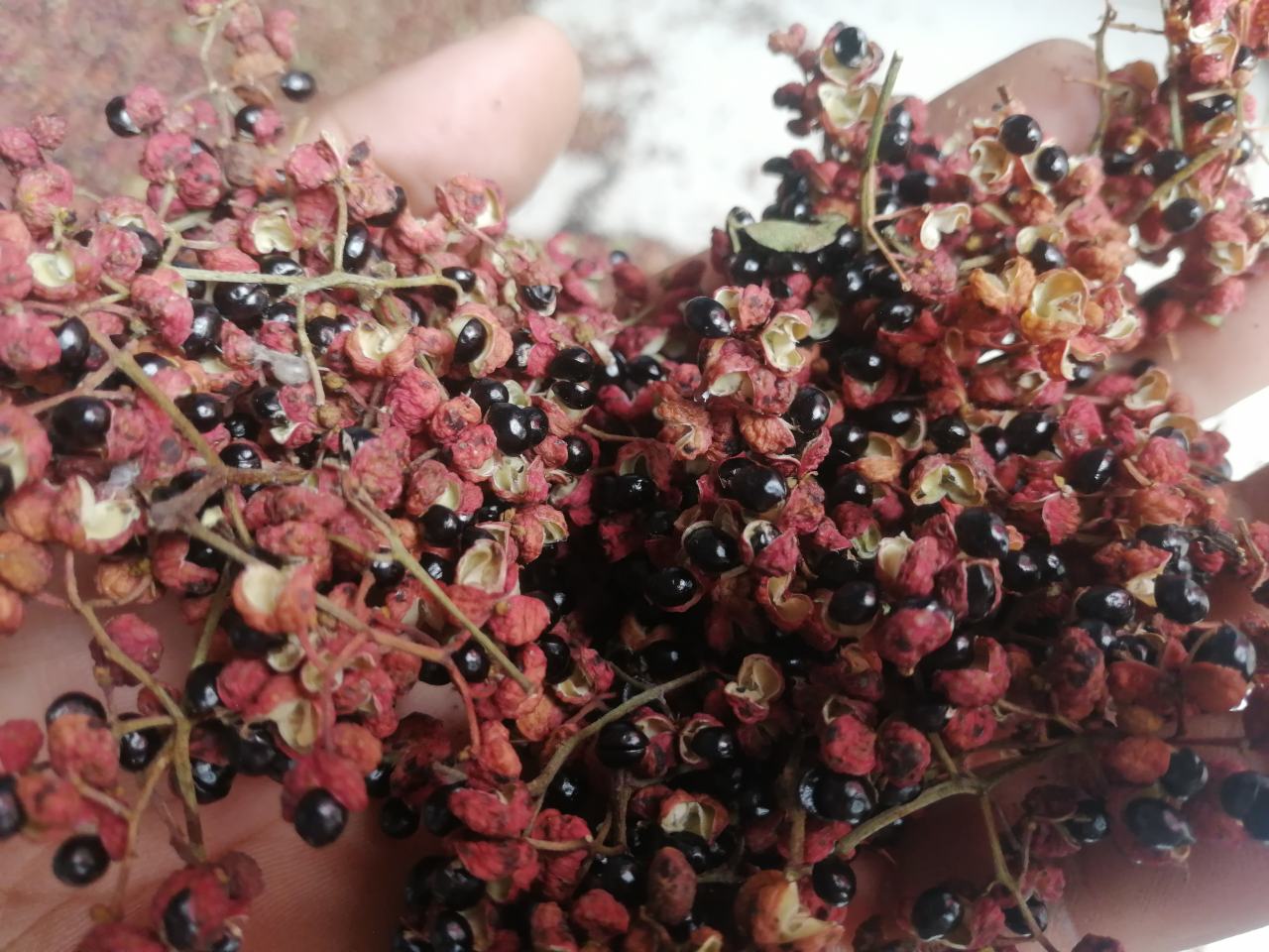 胡椒果实特写