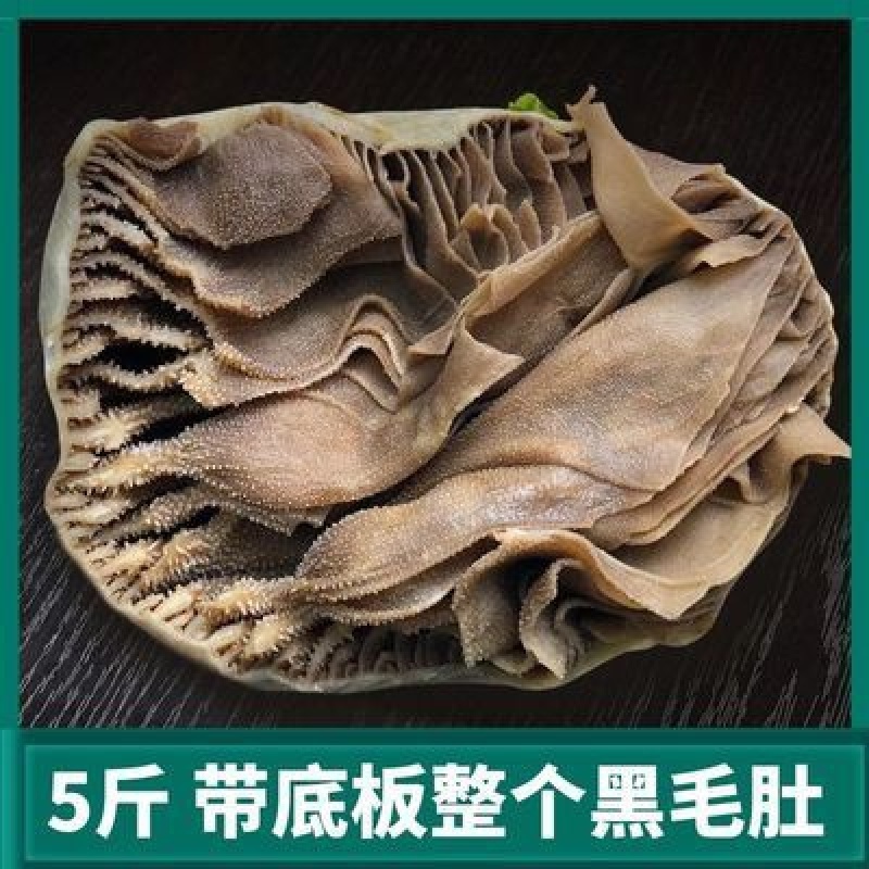 牛毛肚个子毛肚牛百叶带底板整个5斤装大叶片火锅食材
