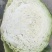 宁夏菜苔