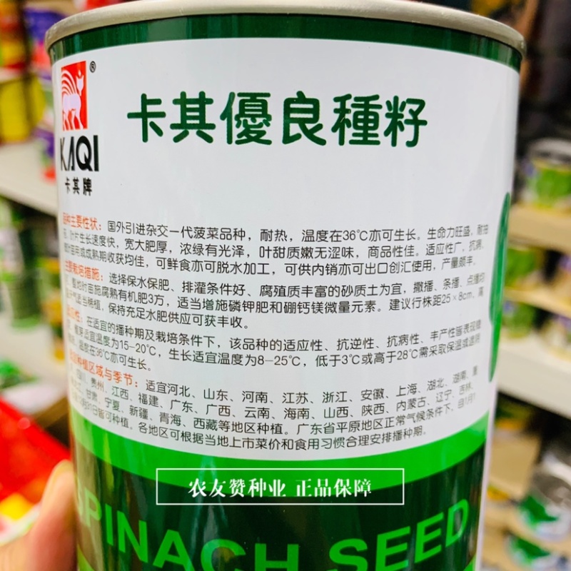 卡其烈日金刚菠菜种子耐热菠菜种子杂交一代大叶菠菜高产