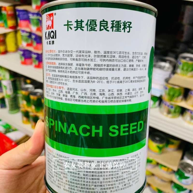 卡其烈日金刚菠菜种子耐热菠菜种子杂交一代大叶菠菜高产