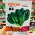 新引进杂交一代菠菜种子墨菲抗热菠菜种子大叶深绿肥厚