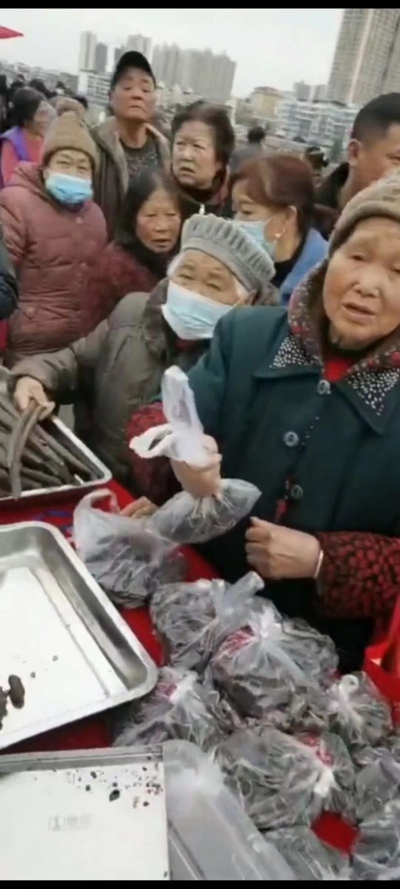 精选便秘果新货基本无虫大便果腊肠果一手货源批发