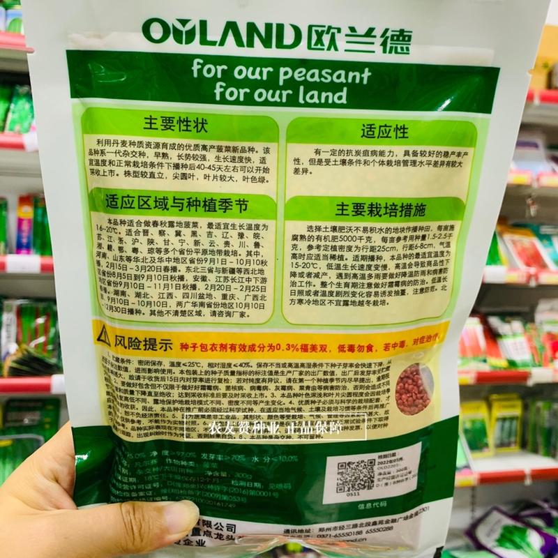 欧兰德一代杂交菠菜种子凡尔赛丹麦种源优质高产菠菜种籽