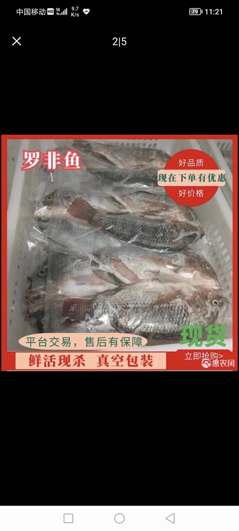 广东优质罗非鱼，餐饮供应/烧烤、液氮冷冻保证口感品质保障