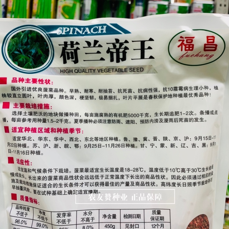 荷兰帝王菠菜种子早熟耐抽苔耐寒，抗死苗抗病颜色深肉厚