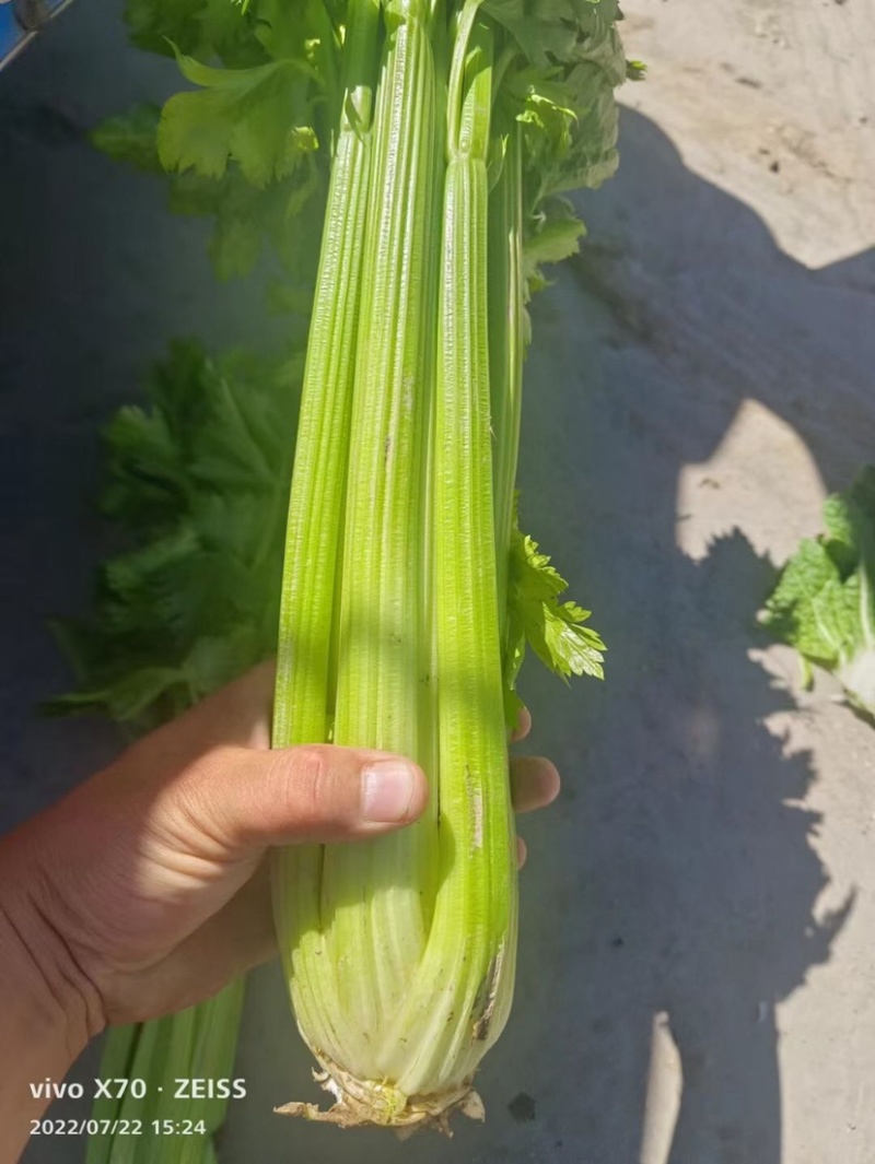 精品西芹