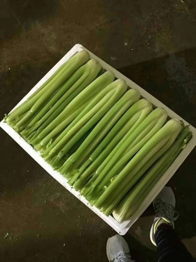 精品西芹