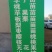 蜂糖李子果树苗西梅李子红心蜂糖嫁接李子树苗基地直销批发价