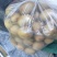 野生安化阳桃。八月瓜！限时品尝安化味道！联系我代采