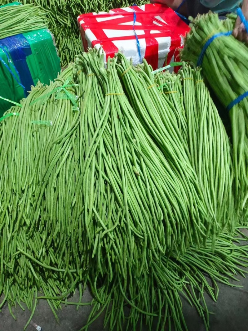 云南保山江豆