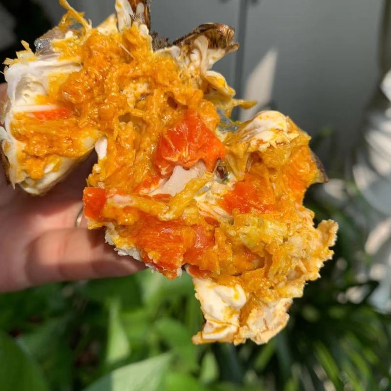 盘锦河蟹稻田蟹，水库蟹，产地直销一手货源。五斤可发！