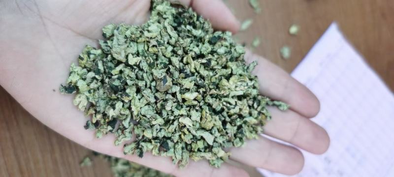 荷叶茶荷叶片荷叶颗粒手工采摘花茶荷叶茶电商