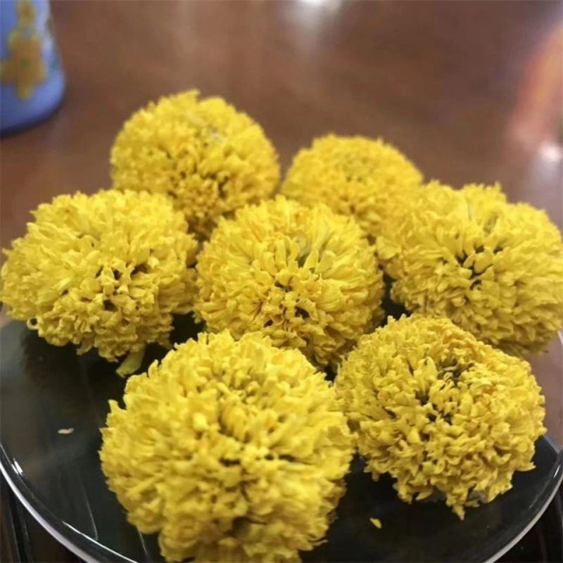 球菊乒乓球菊花桃菊黄菊菊花茶婺源菊花草茶