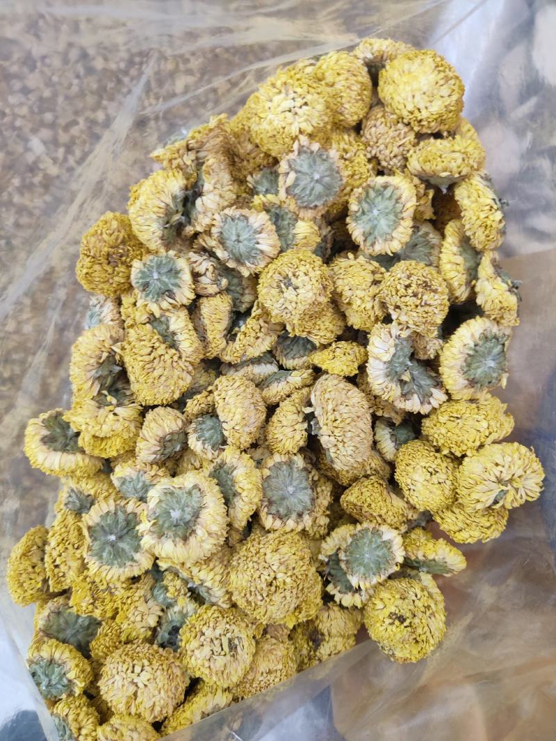 球菊乒乓球菊花桃菊黄菊菊花茶婺源菊花草茶